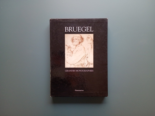 Book cover from Pieter Bruegel