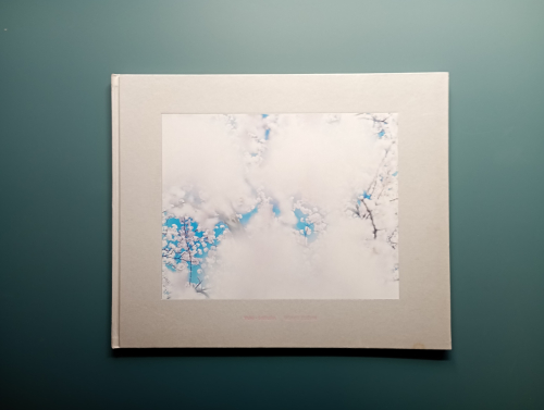 Book cover from Yuki Sakura, Risaku Suzuki